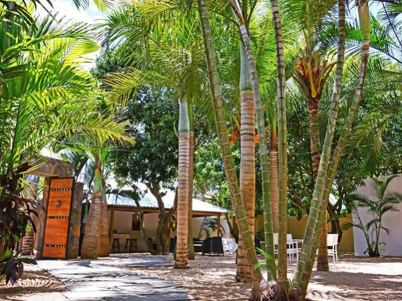 La Margarita Otel Pointe aux Piments Dış mekan fotoğraf